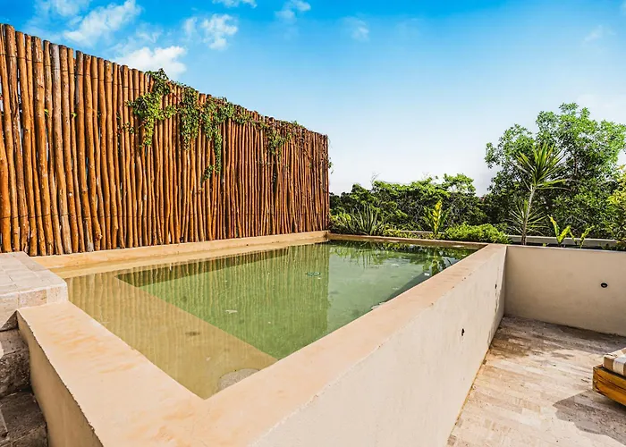 Apartamento Jungle Penthouse W Sunset Rooftop Private Pool *